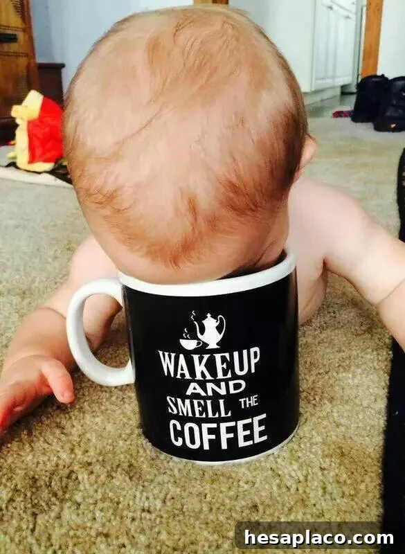 Baby smelling coffee