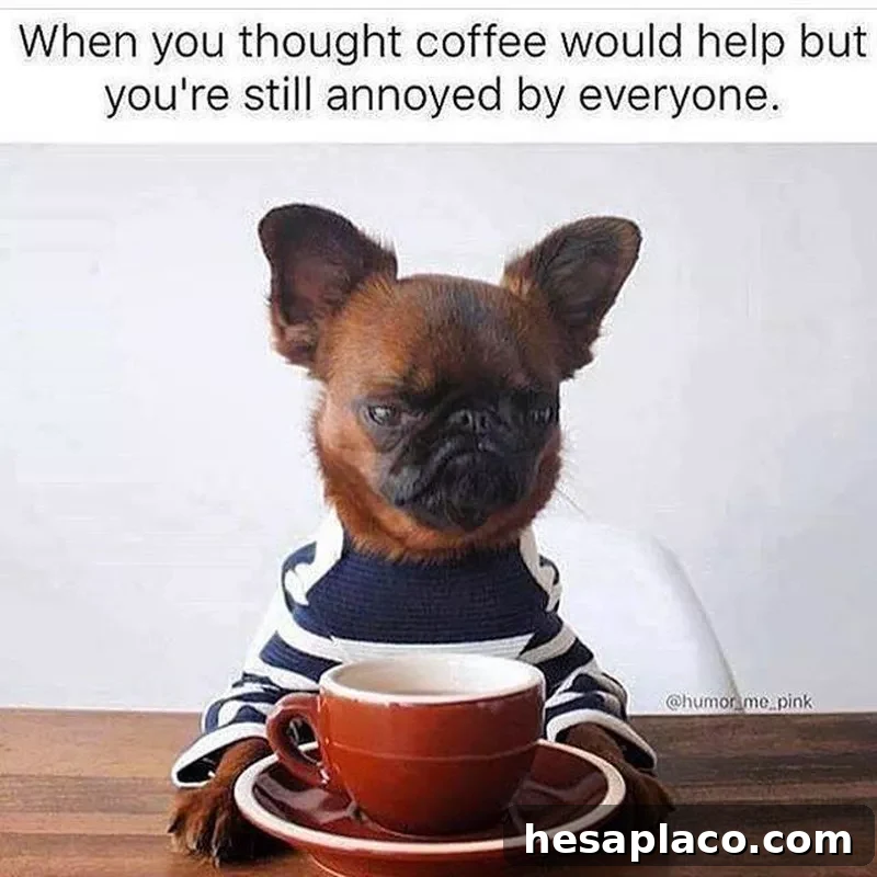Funny dog drinking coffee