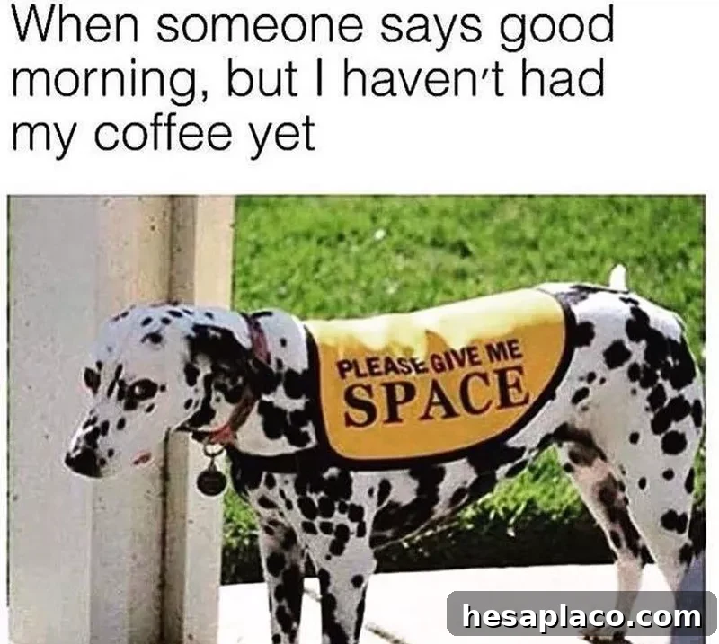 Dog asking for space and coffee