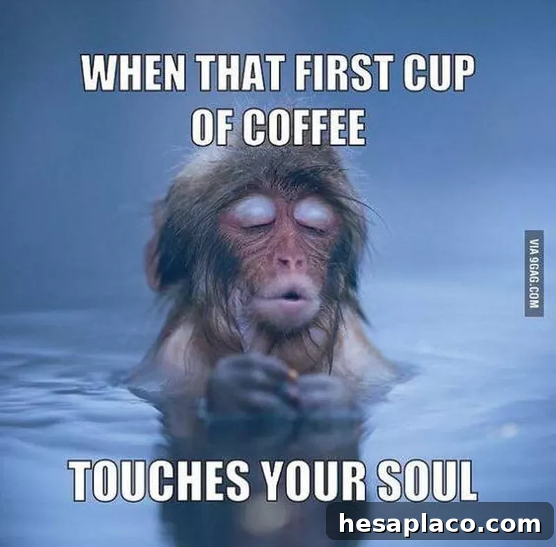 Monkey waiting for coffee