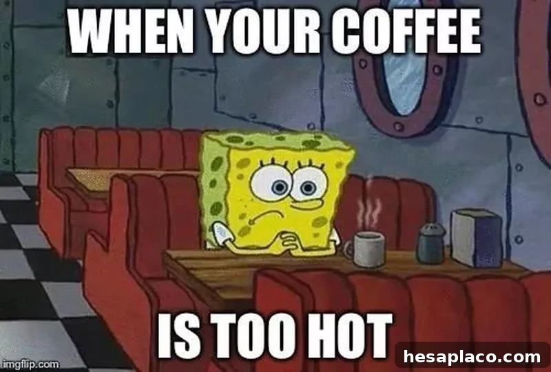 SpongeBob meme