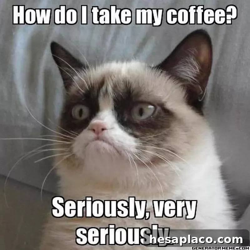 Grumpy cat coffee meme