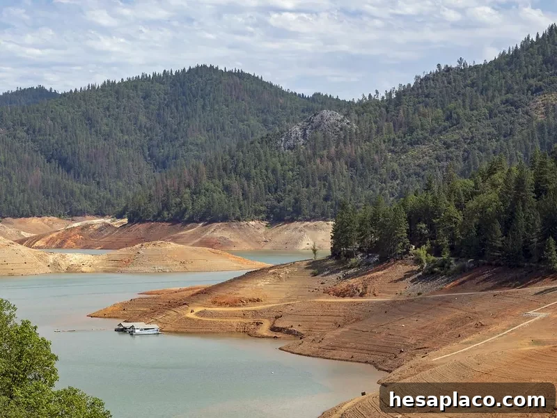 California scenery