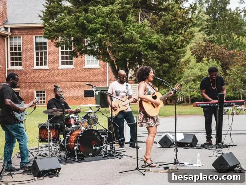 Rissi Palmer playing live