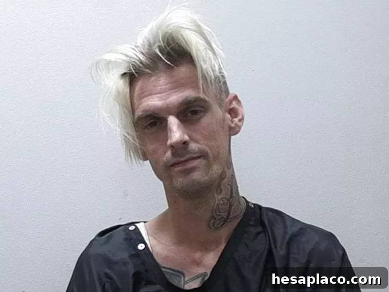 Aaron Carter