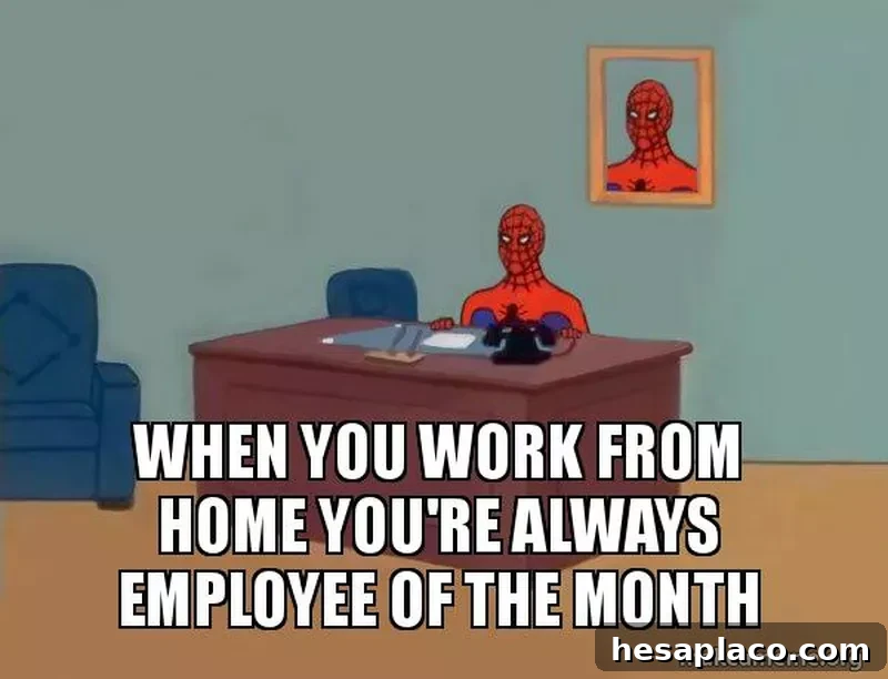 Spiderman work from home meme