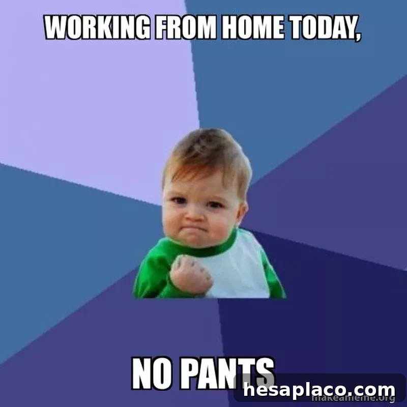 Meme about working from home