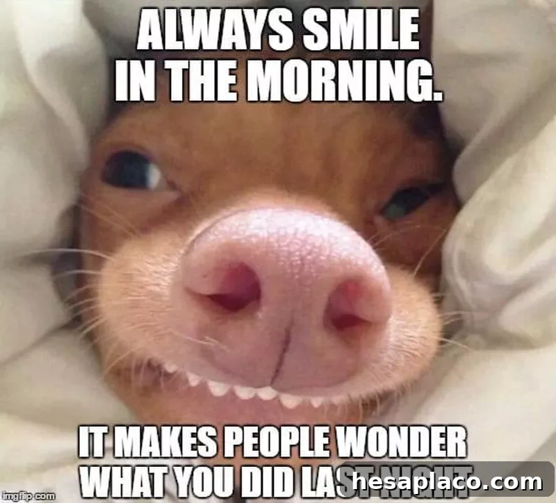 Smile in the morning meme