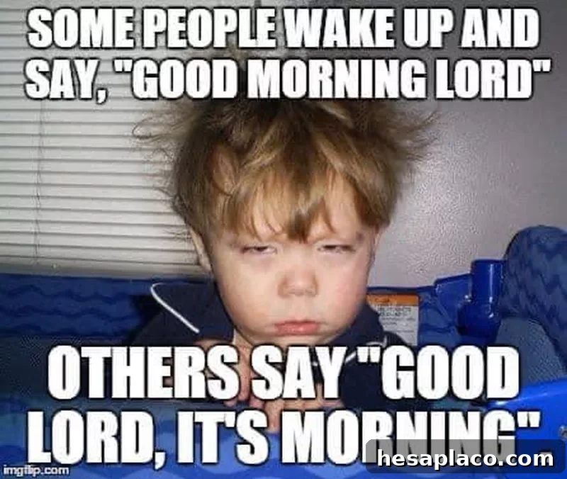 Sleepy kid meme