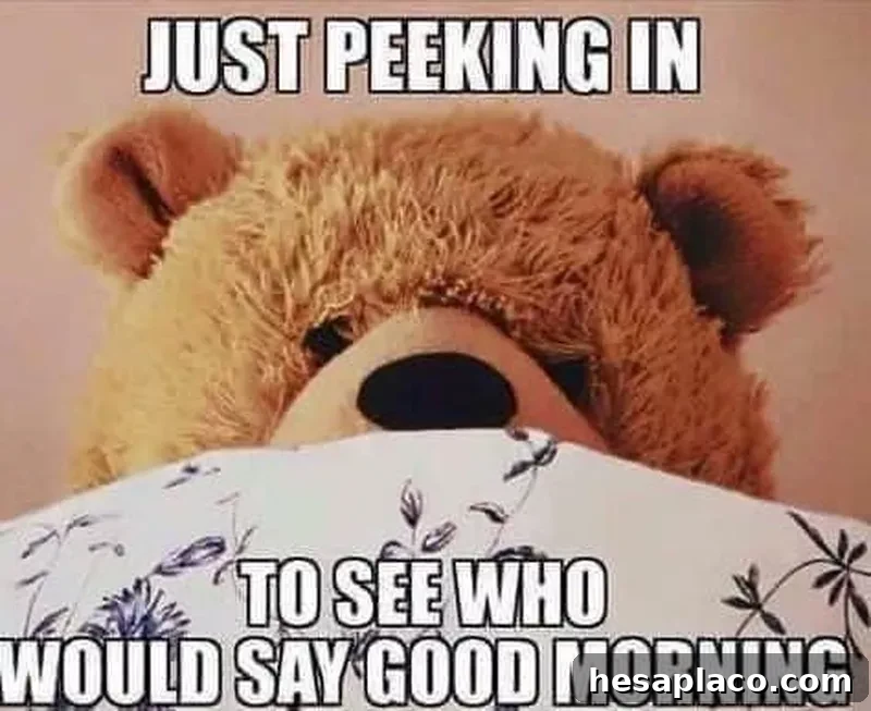 Teddy bear meme