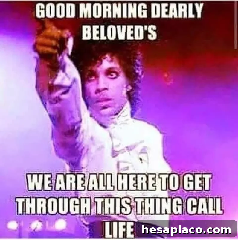 Prince good morning meme