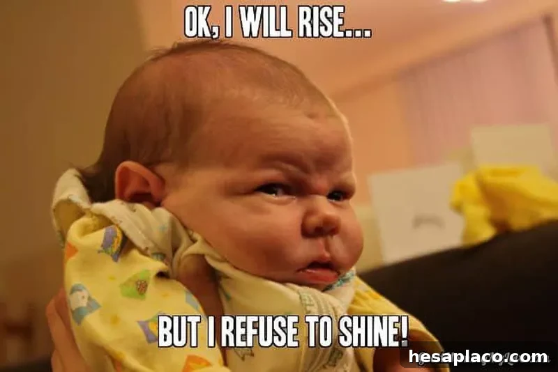 Funny baby meme