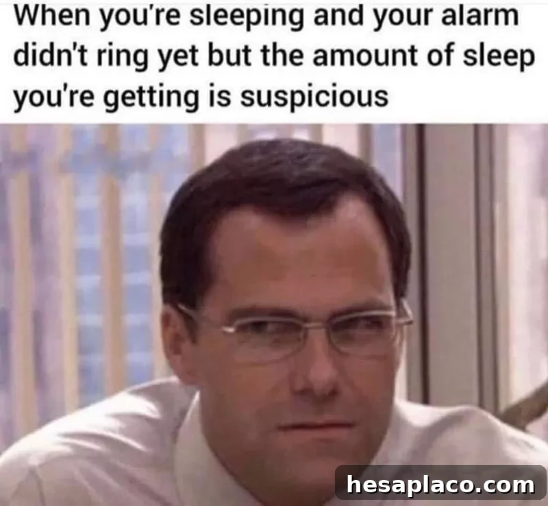 Funny meme from The Office