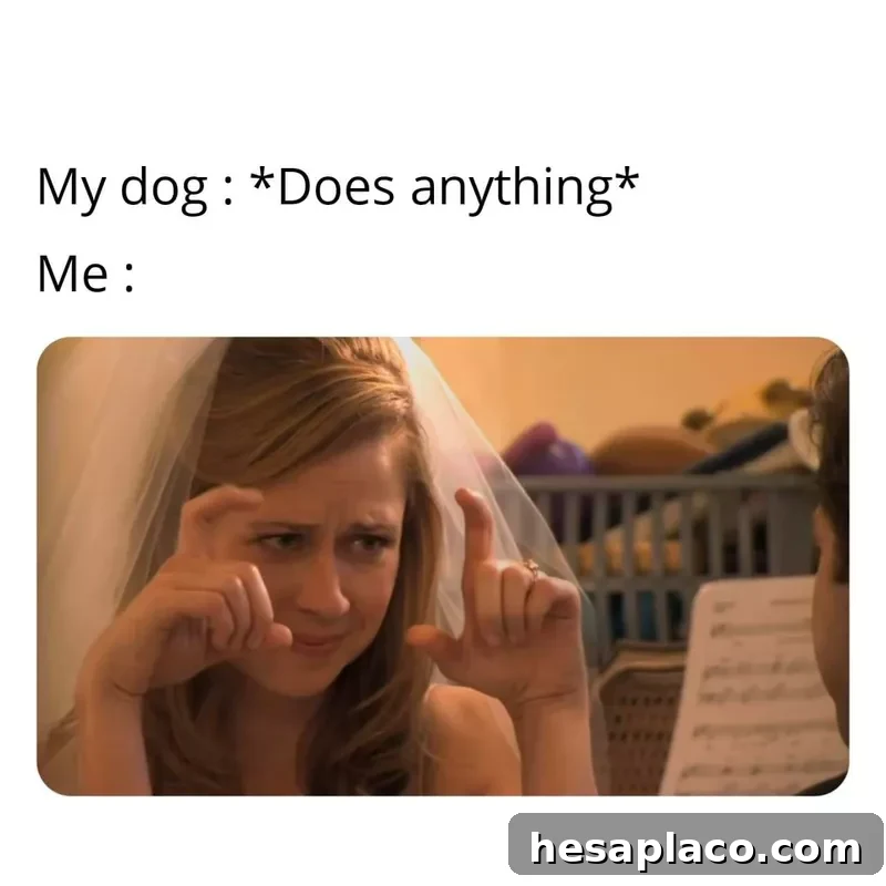 Pam Beasley meme