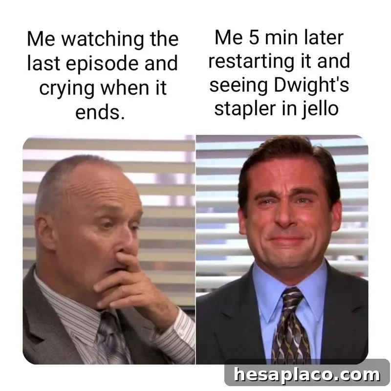 Funny meme from the Office
