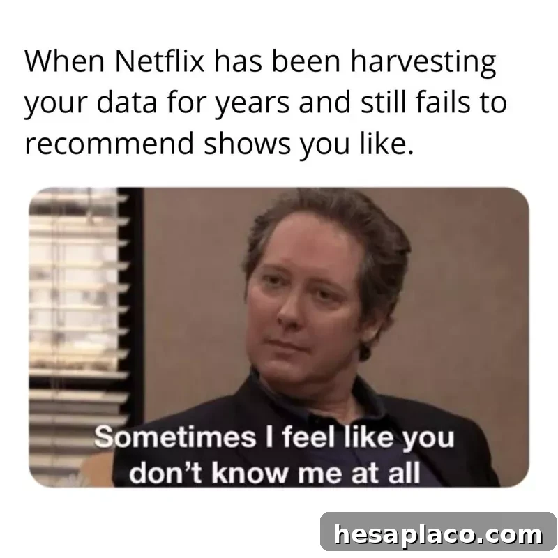 The Office meme about Netflix