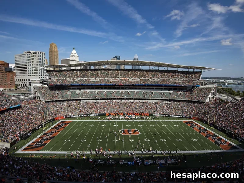 Paul Brown Stadium  landscape