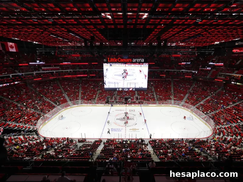 Detroit Red Wings play against Boston Bruins