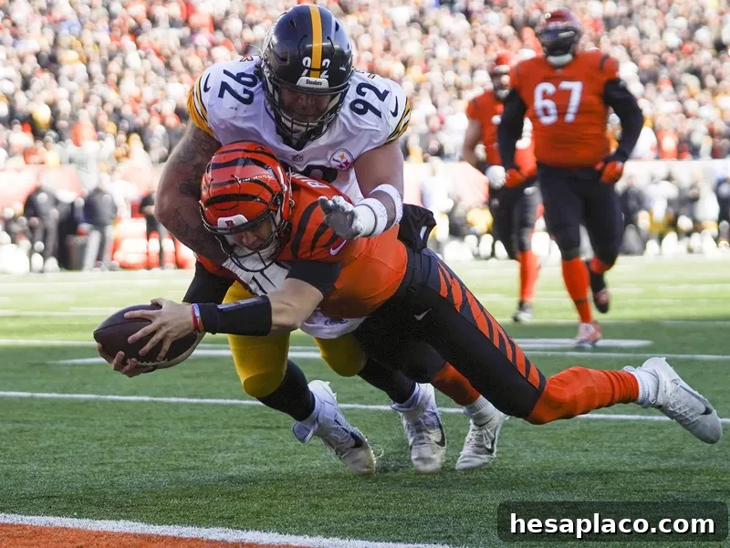 Cincinnati Bengals quarterback Joe Burrow rushes into end zone for touchdown
