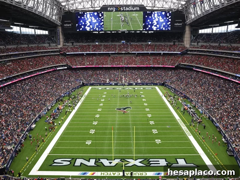 NRG stadium
