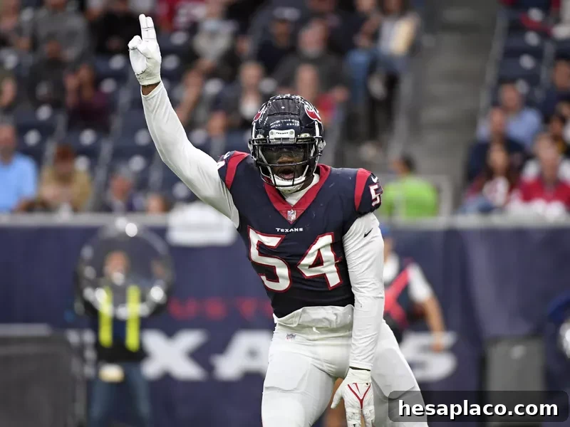 Houston Texans defensive end Jake Martin reacts