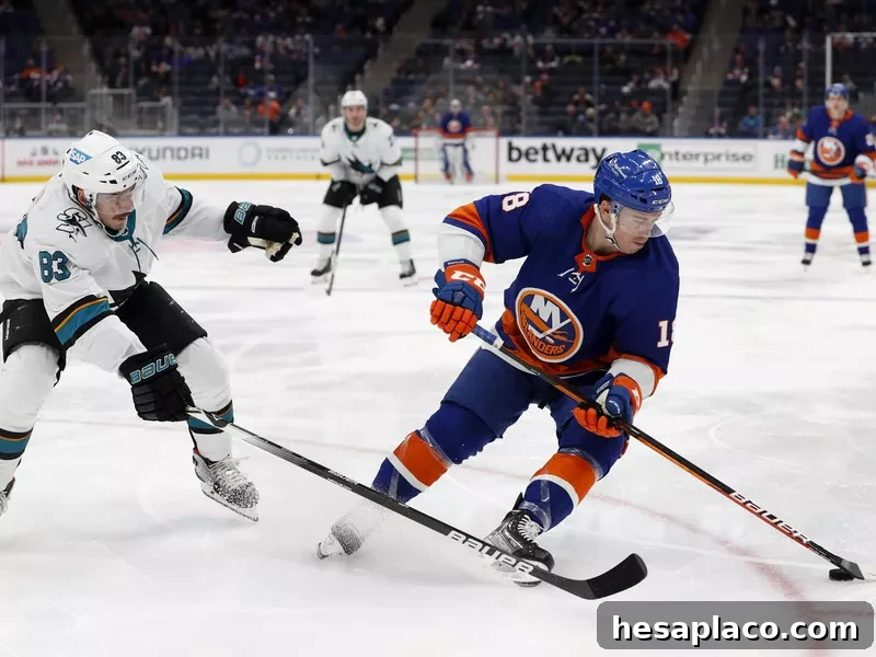 New York Islanders left wing Anthony Beauvillie turns way with puck