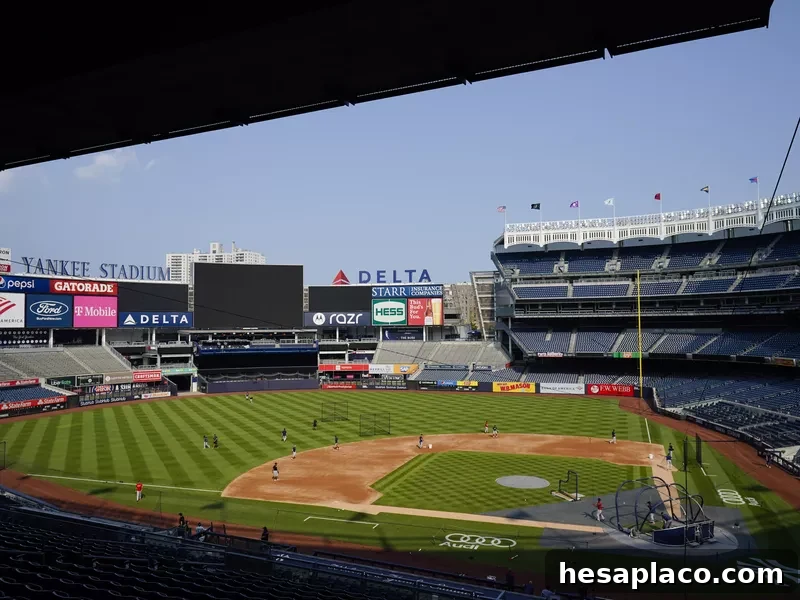 Batting practice at Yankee Stadium