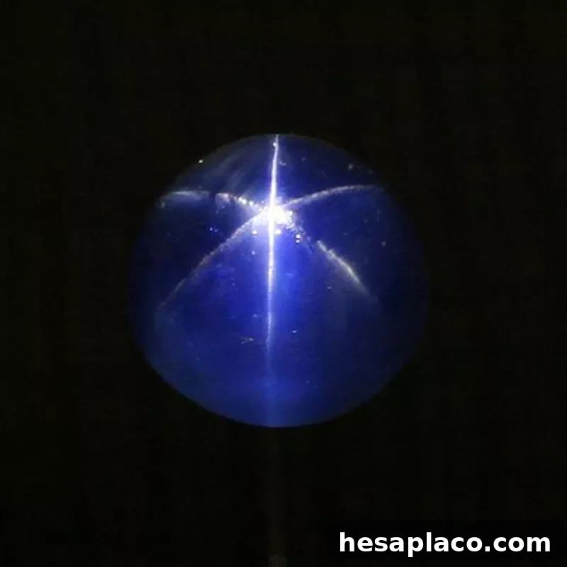 The Star of Asia Sapphire