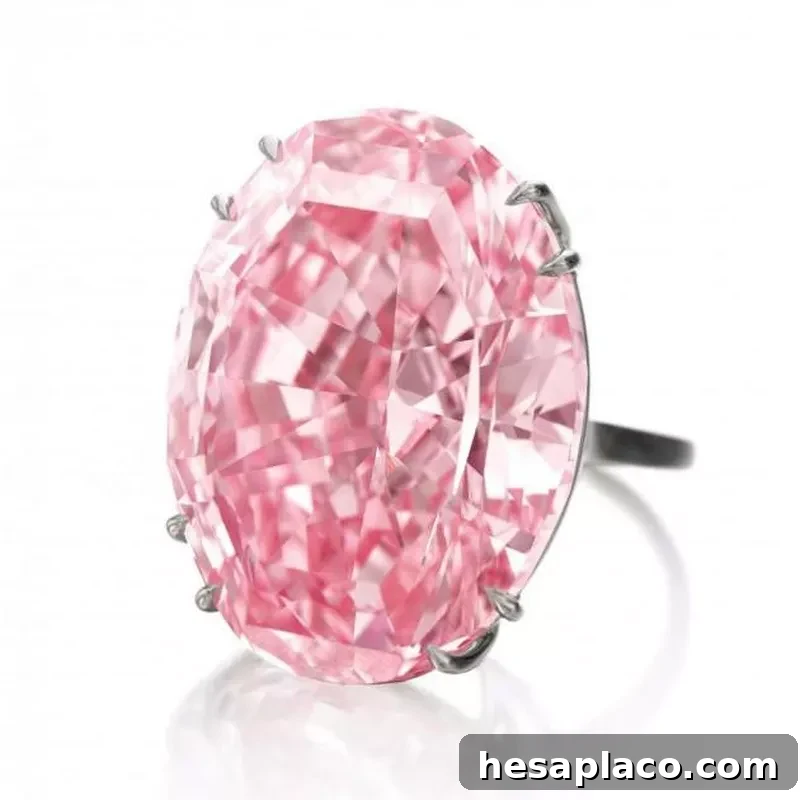 The Steinmetz Pink Diamond