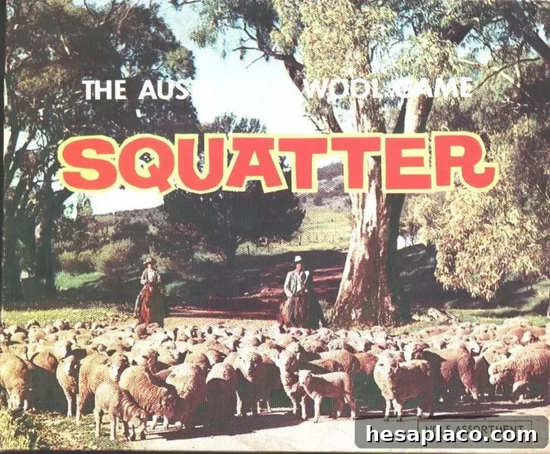 Sheep herding in Sqautter