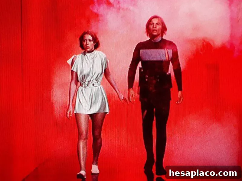 Logan's Run