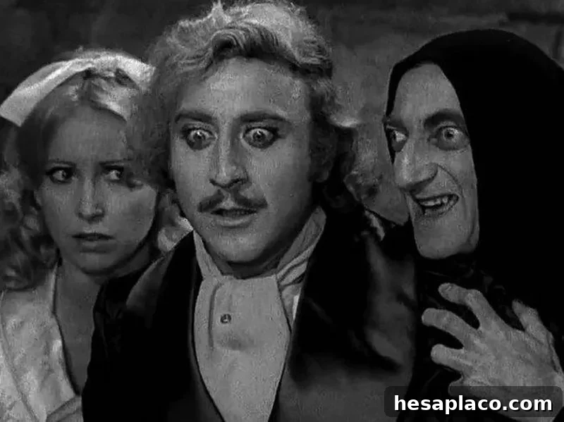 Young Frankenstein