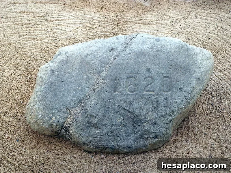 Plymouth Rock