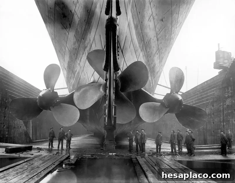 The workers of the Titanic