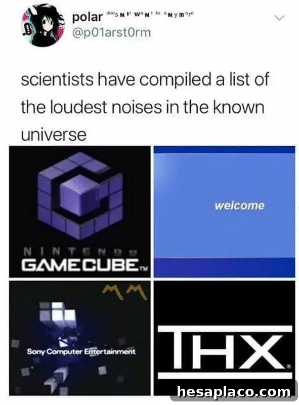 loud noises