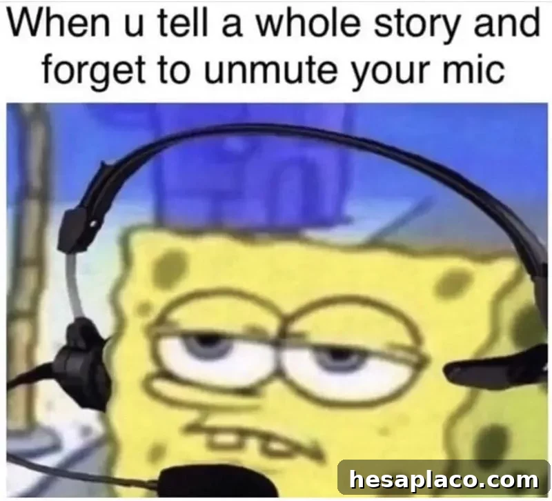 muted mic