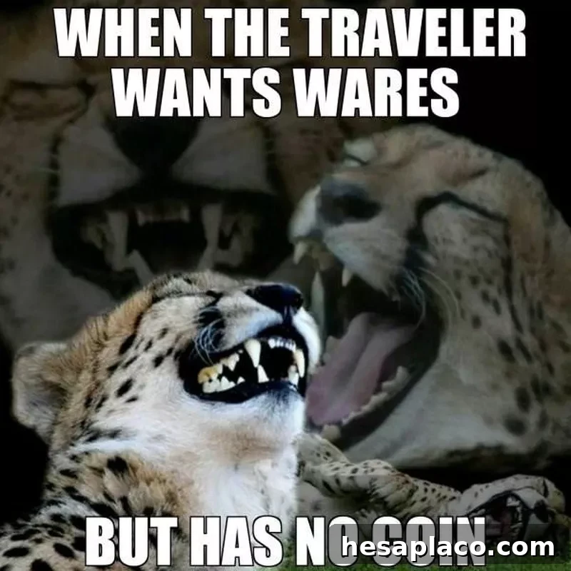 khajiit has wares