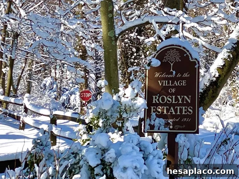 Roslyn Estates in the winter
