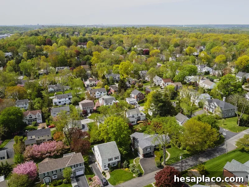 Aerial view of Scarsdale