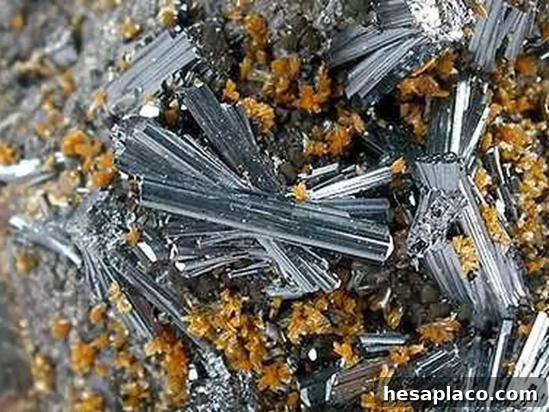 Thallium